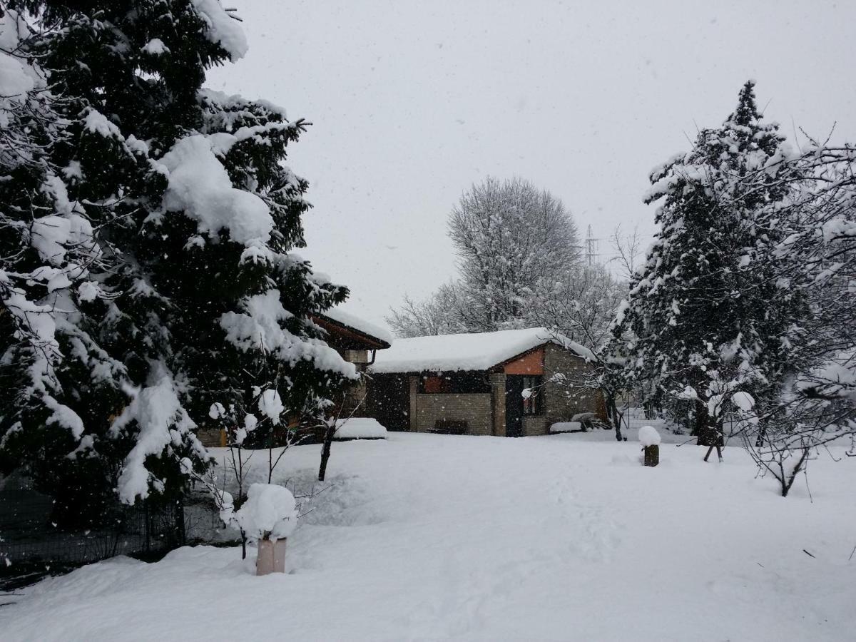 R&B Albero Cavo Parma Bed & Breakfast Exterior foto