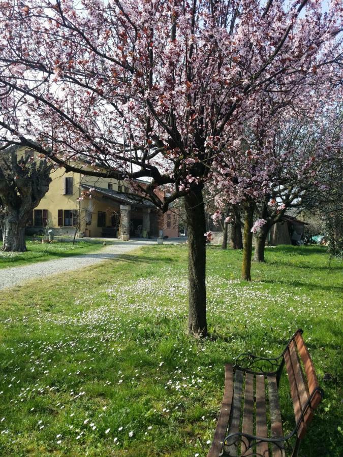 R&B Albero Cavo Parma Bed & Breakfast Exterior foto
