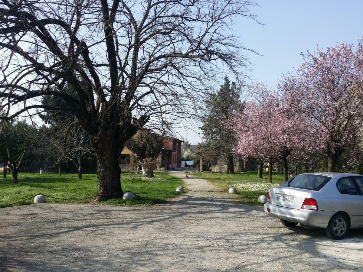 R&B Albero Cavo Parma Bed & Breakfast Exterior foto