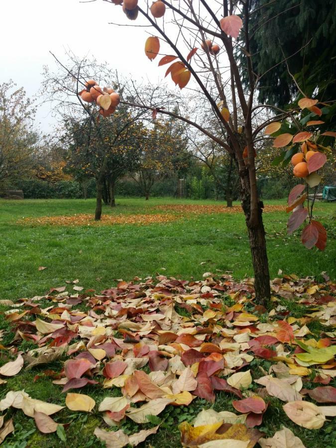 R&B Albero Cavo Parma Bed & Breakfast Exterior foto