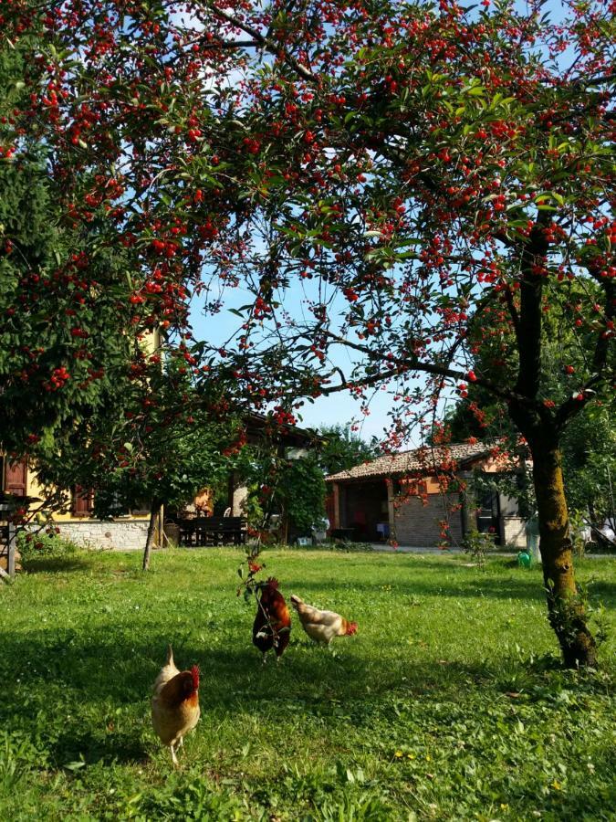 R&B Albero Cavo Parma Bed & Breakfast Exterior foto