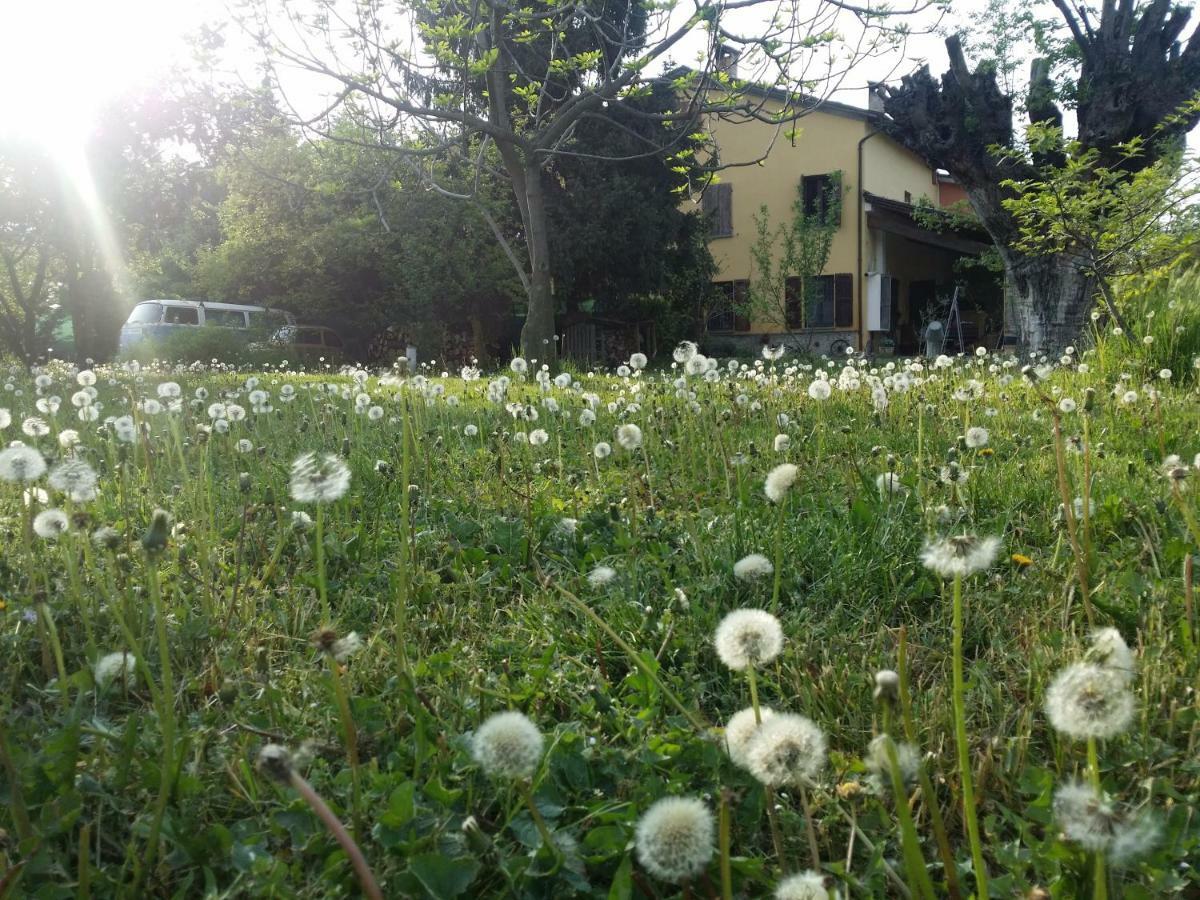 R&B Albero Cavo Parma Bed & Breakfast Exterior foto