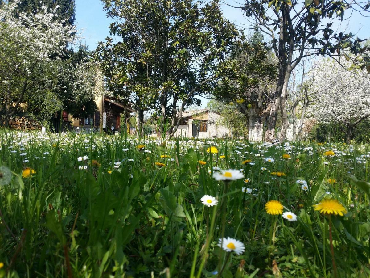 R&B Albero Cavo Parma Bed & Breakfast Exterior foto