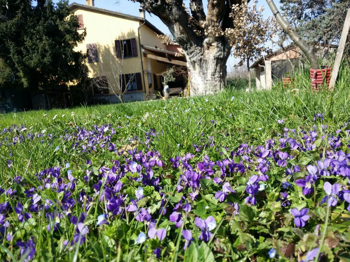 R&B Albero Cavo Parma Bed & Breakfast Exterior foto