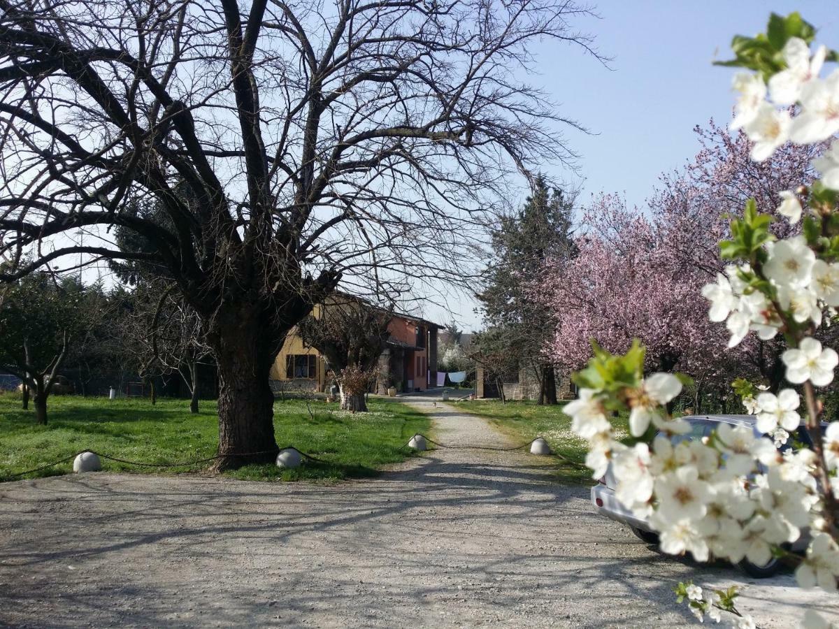 R&B Albero Cavo Parma Bed & Breakfast Exterior foto